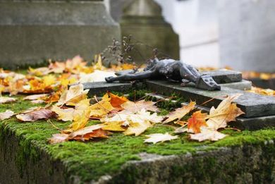 Potz W GesmbH - Herbstblätter auf einem Grab